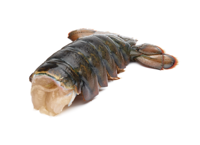 lobster-tail-e1641477072967.png